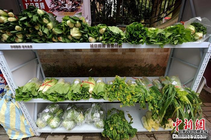 图为无人售卖点的上摆放的绿叶蔬菜。　张斌 摄